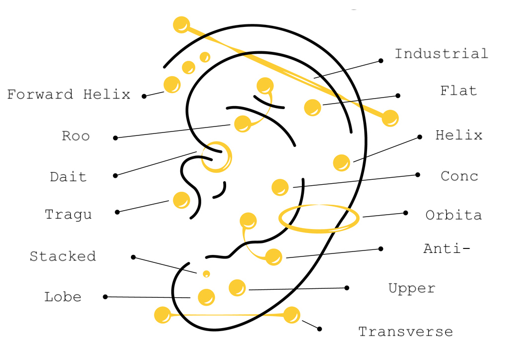 Typy piercingů v uchu
